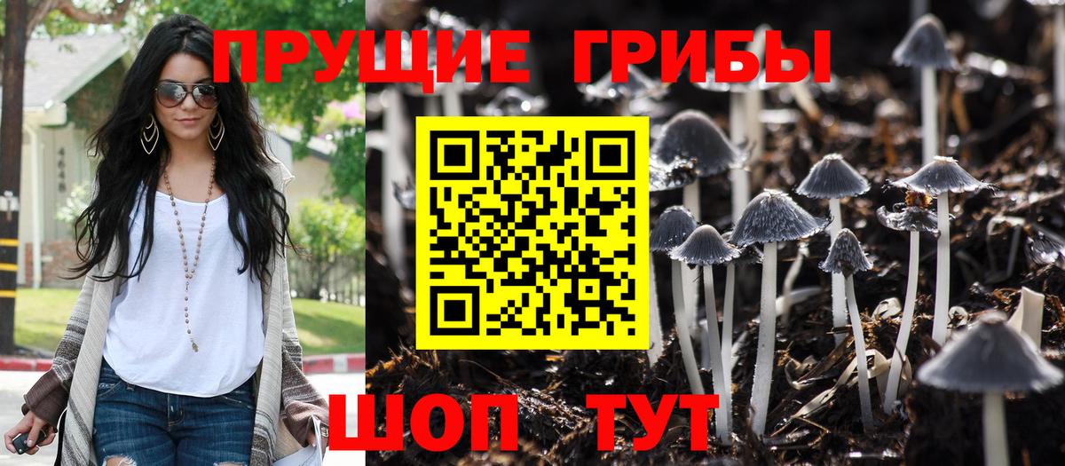 Тимашёвск  Псилоцибиновые грибы Psilocybine cubensis  Галлюциногенные грибы мицелий  Вход с VPN 